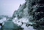 Bridge, River, Trees, Snow, Cold, Forest, Woodland, Saint Moritz, Switzerland, 1950s