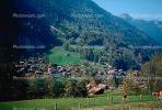 Valley, village, mountains, cows, forest, Switzerland, 1950s