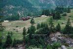 Fields, village, forest, Zermatt, Switzerland, CESV02P03_03.1720