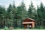 Log Cabin, Forest, Woodland, CEUV01P07_11