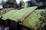 Home, House, Sod Roof, grass roof, building