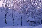Snow, mailbox, Asker, CEVV01P13_01