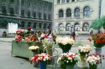 Flower Stand, Bucharest, CFRV01P02_02