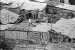 Man Walking on a Roof, pigeons, homes, houses, shantytown, Yerevan