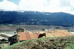 Cow, Home, House, Building, Village, Town, Svaneti, Caucasus Mountains, CGGV01P13_14