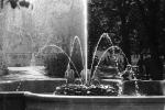 Water Fountain, aquatics, Summer Palace in Petrodvorets, CGKPCD2930_080