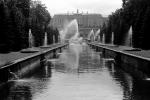 Water Fountain, aquatics, Summer Palace in Petrodvorets, CGKPCD2930_081