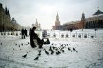 Pigeons, Red-Square, Saint Basil, Kremlin Walls, snow, ice, cold, winter, CGMV03P03_18