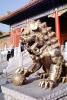Golden Dragon Lion, CHBV02P03_19