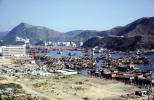 Boat City, Harbor, Boats, Hills, 1971, 1970s