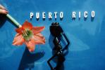 Puerto Rico Title sign, flower