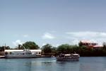 Dock, Harbor, Excursion Boats, Cruz Ship passenger ferry boat, Cruz Bay, Saint Johns, CIUV01P04_04