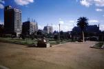 Park, Buildings, Palm Tree, Pathways, 1964, 1960s, CJEV01P03_03