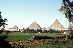 Pyramids of Giza, December 1964, 1960s, CJEV01P04_07