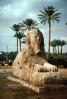 Sphinx, landmark, Memphis, Egypt, 1950s