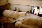 Ramses II, Memphis, Nile Valley, Landmark, Indoors, Interior, Archaeology, Building, Museum, CJEV01P07_11.1041