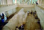 Ramses II, Memphis, Nile Valley, Landmark, Indoors, Interior, Archaeology, Building, Museum
