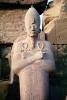Pharaoh Statue, Karnak, Luxor, Egypt, CJEV01P12_18