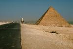Pyramid, road, Camel, Giza