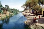 Aqueduct, Water, Irrigation, Nile River Valley, Trees, water, kids, children