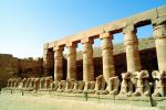 Rams, Karnak, Luxor, statues, CJEV02P11_15