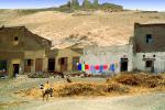 Town of Thebes, Buildings, Hill, Homes, Karnak, Donkey
