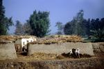 Home, House, near Cairo, Thatched Roof House, grass roof, building, Sod, CJEV03P01_15