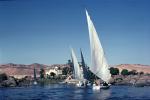 Dhow Sailing Craft, Nile River, Lateen sail, vessel, CJEV03P02_14