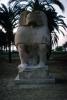 Thoth, God of Knowledge and Wisdom, Statue, CJEV03P04_01