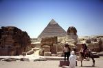 Sphinx, Pyramid of Cheops, Giza, Camel