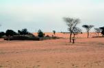 Village, wall, desert, bare tree, drought, Diomga, Province de l? Oudalan, Sahel desert