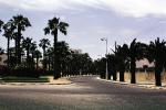 Palm Tees, split in the road, street, Casa Blanca, 1952, 1950s