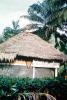 Thatched Roof House, Home, roundhouse, Sod