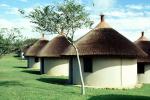 Round Huts, Garden, Tree, roundhouse, Thatched Roof House, Home, Grass Roofs, building, Sod