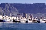 Victoria Wharf, Table Mountain, Docks, Waterfront, Buildings, Homes, Cape Town, Building, CKFV01P07_11
