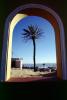 Palm Tree, Sand, Beach, Arch, Building, Cape Town