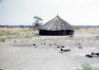 Thatched Roof House, Hut, Home, Building, Grass Roof, roundhouse, Sod
