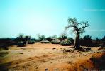 Village, Huts, Baobab Tree, Thatched Roof House, Home, Grass Roofs, roundhouse, building, Dirt, soil, curly, twisted, Adansonia, Sod, CKMV01P02_03.1725
