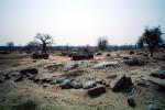 Baobab Tree, Village, Rocks, Road, Thatched Roof House, Home, Grass Roof, building, Dirt, soil, curly, twisted, Adansonia, Sod, CKMV01P02_04