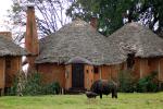 Water Buffalo, Huts, Tree, Hills, Cottages, Buildings, Hotel, Thatched Roof, roundhouse, Sod, CKTD01_009