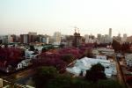 Cityscape, Skyline, Buildings, homes, trees, Harare, CKZV01P02_05