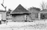 Thatched Roof Houses, Homes, Grass Roof, roundhouse, desert, buildings, building, Sod, CKZV01P05_01