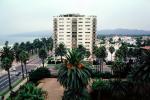 Ocean Avenue, Palm Trees, Santa Monica Bay, CLAV01P08_10