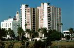 Condominium buildings, palm trees, CLAV02P06_17