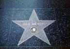 Julie Andrews, Sidewalk Star, Movies