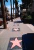 Sidewalk Star