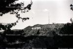 Hollywood Sign, CLAV04P14_19