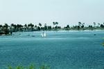 Homes, Lakeshore, Lake, water, sailboats, Mission Viejo, CLAV06P10_09