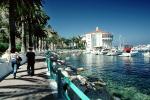 the Casino, Avalon, Harbor, Boats, Walkway, Palm Trees, landmark, CLAV06P14_12