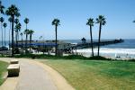 Palm tree, pier, bench, path, beach, pacific ocean, waves, San Clemente, landmark, CLAV07P03_08
